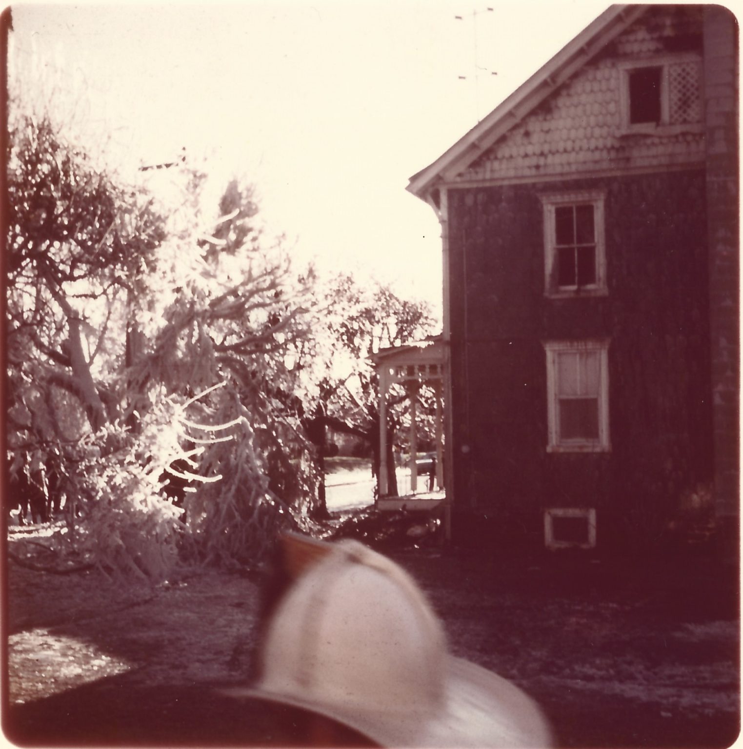 A firefighter’s helmet is visible in the foreground while a damaged house and a fallen tree are seen in the background, likely after a storm or disaster. The house appears weathered and partially in shadow.